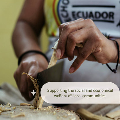 Premium Ecuadorian Palo Santo Smudging Sticks Single Pack