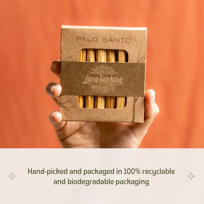 Premium Ecuadorian Palo Santo Smudging Sticks Single Pack